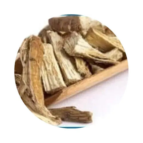 Nerve Fresh official site