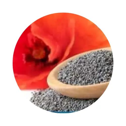 Nerve Fresh ingredients